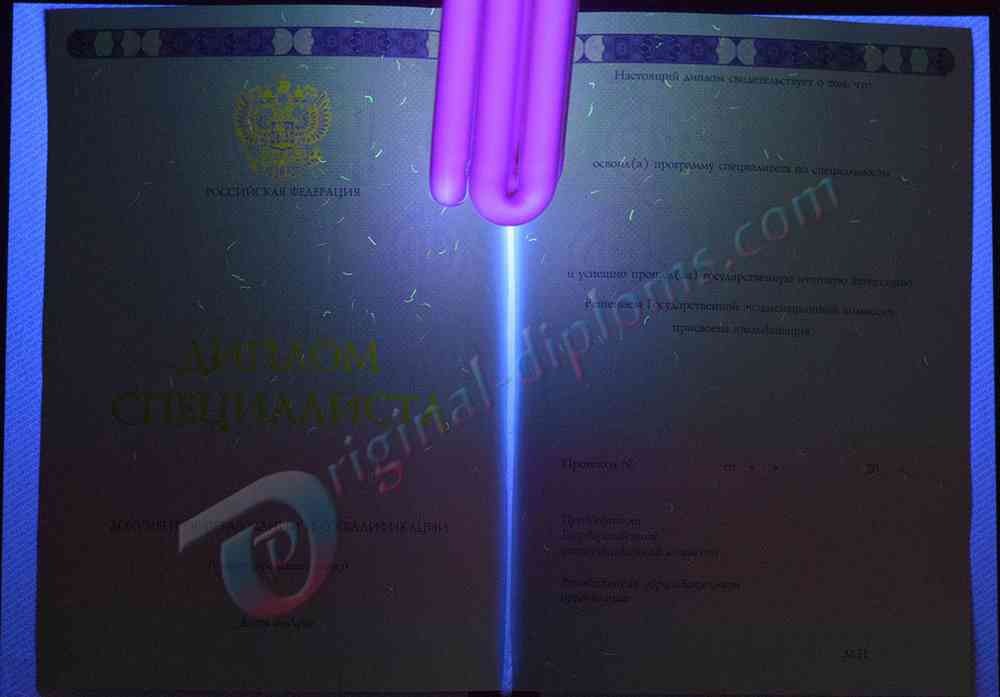 Диплом специалиста 2014-2027